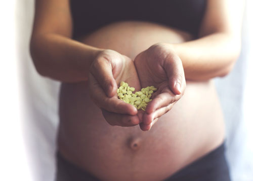 bienestar nutrición